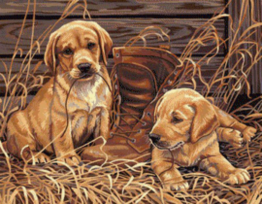 Щенки с ботинком - животные, собаки - предпросмотр