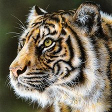 Схема вышивки «№586836»