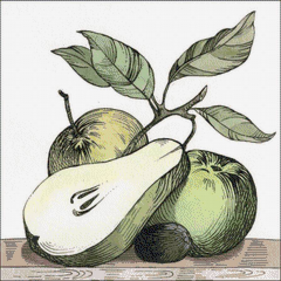 Фруктовый натюрморт - натюрморт, фрукты, яблоки, для кухни, груши - предпросмотр