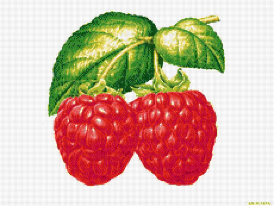 Ароматная малина - натюрморт, для кухни, фрукты, ягоды - предпросмотр