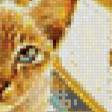 Предпросмотр схемы вышивки «Шалунья» (№586867)
