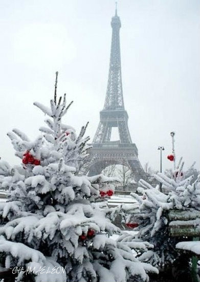 зимний париж - природа, , зима, пейзаж, париж - оригинал