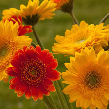 Схема вышивки «№586934»