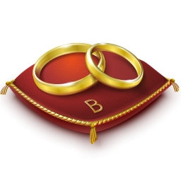 Обручальные кольца на красном - обручальные, кольца, свадьба, свадебное - оригинал