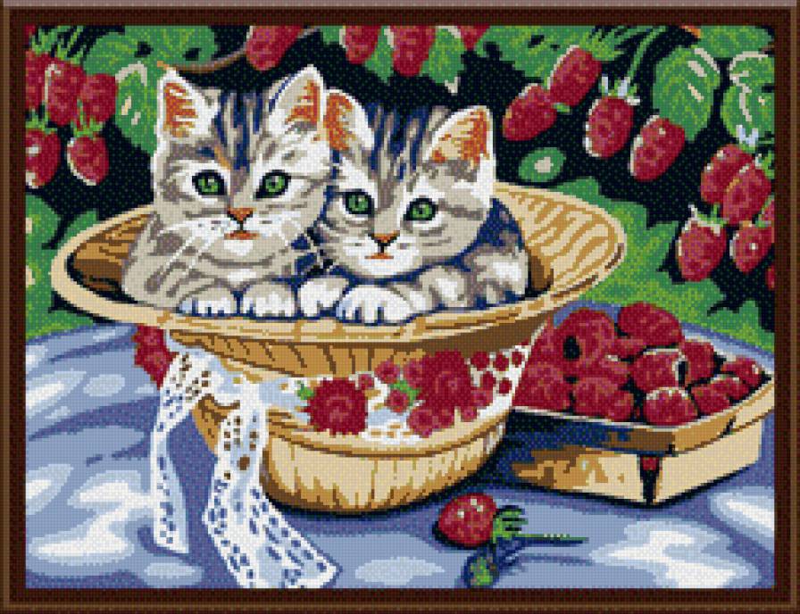 Котята с ягодами - животные, ягоды, коты - предпросмотр