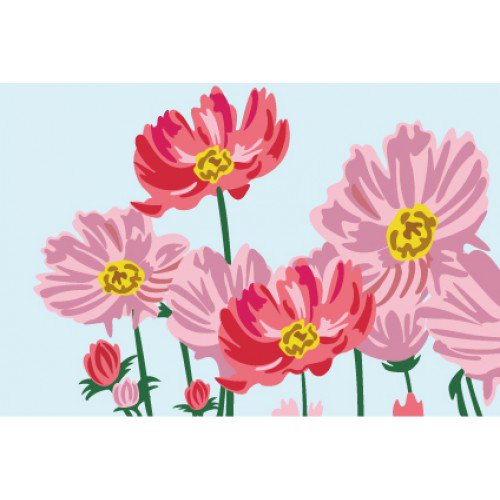 Космеи - цветы - оригинал