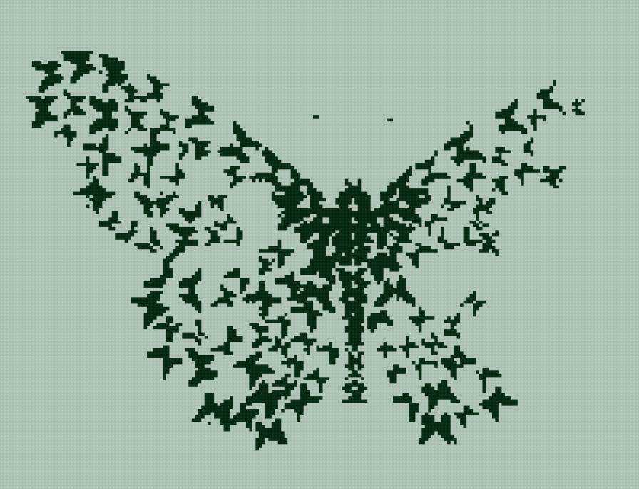 butterfly - предпросмотр