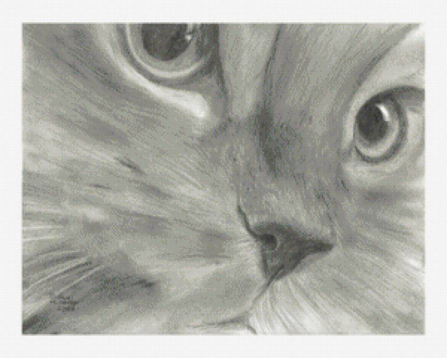 №587003 - предпросмотр