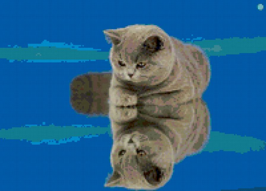 котик - предпросмотр