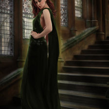 Схема вышивки «зависть»