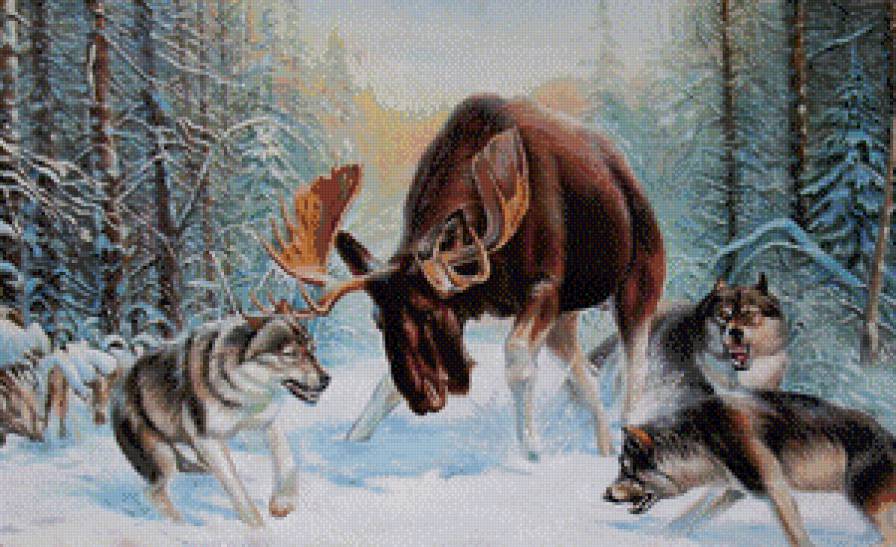 Встреча на опушке - зима, охота, лес, животные - предпросмотр