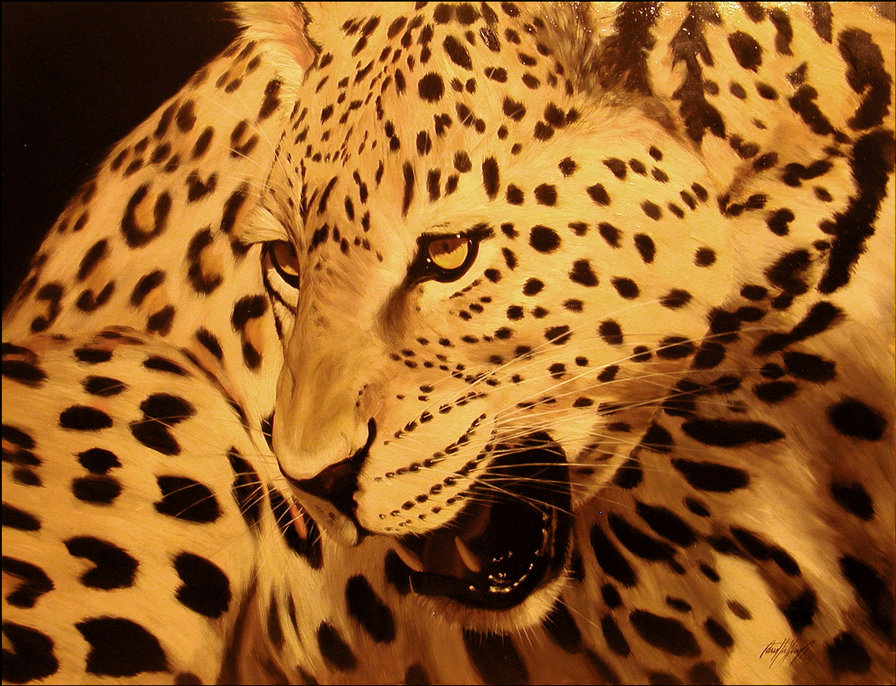 тигр - тигр, животные, природа - оригинал