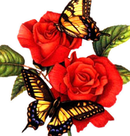 №587296 - розы - оригинал