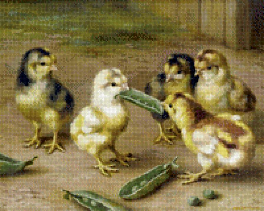 0181 - птицы, красота, картина, природа, цыпленок, лето - предпросмотр