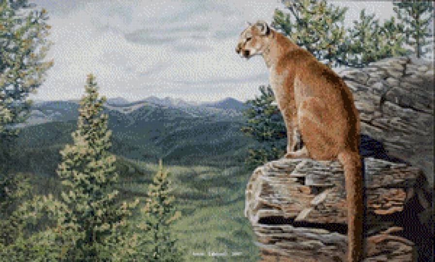 Хищная кошка - предпросмотр