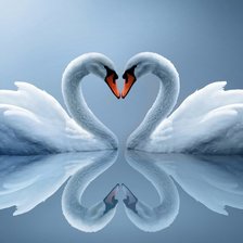 Схема вышивки «влюбленные»