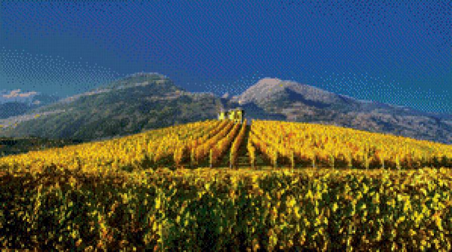 сад - сад - предпросмотр