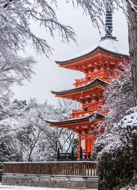 пагода - пагода. япония, снег, зима, восток - оригинал