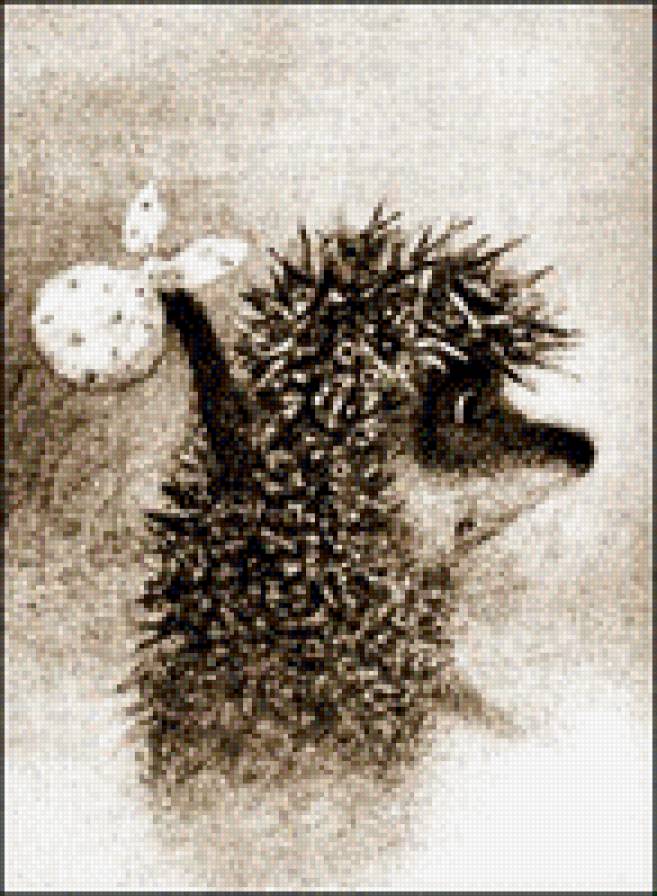 ежик в тумане - ежик - предпросмотр