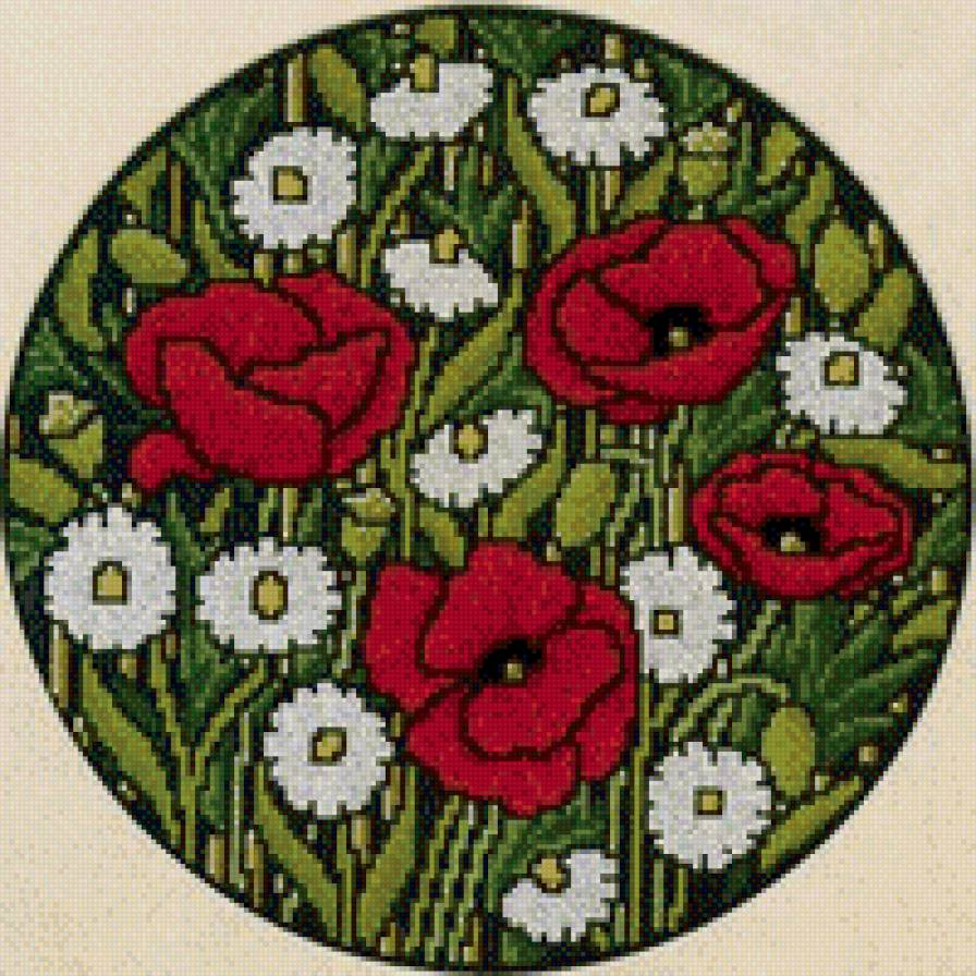 полевые цветы - маки, ромашки, цветы - предпросмотр