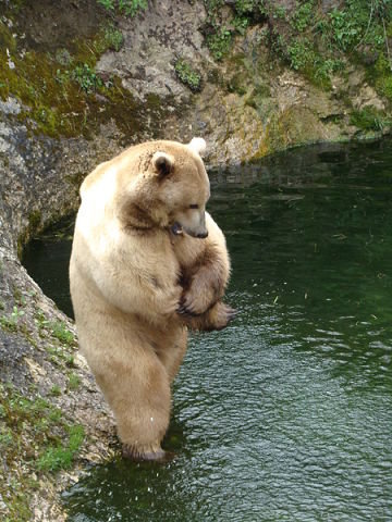 у воды - природа водоема - оригинал