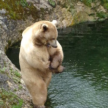 у воды