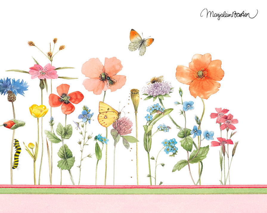 цветы40 - оригинал