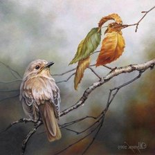 Схема вышивки «ИЛЛЮЗИЯ»