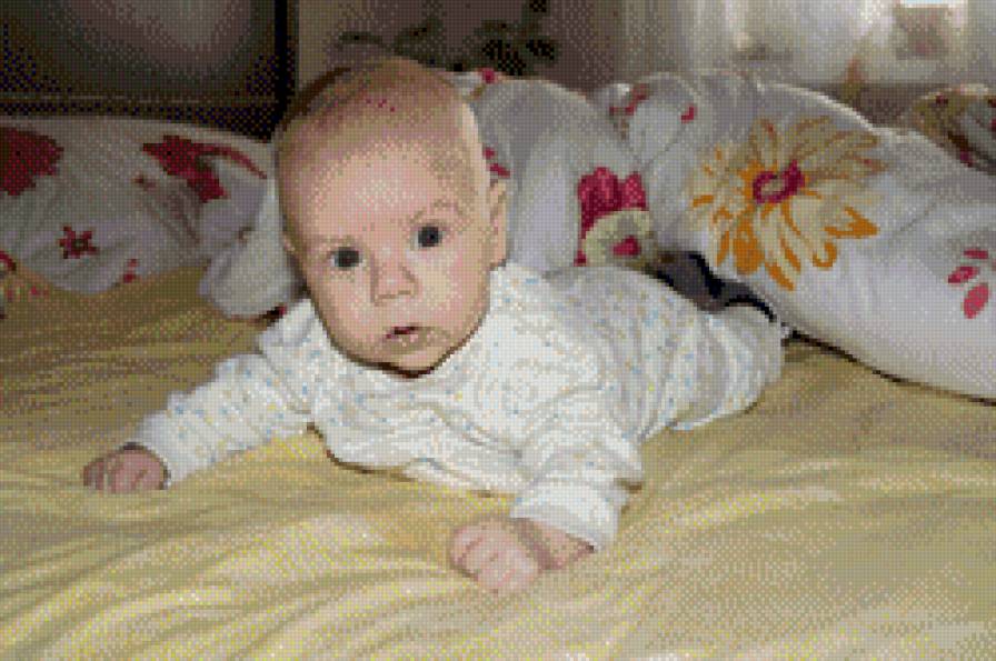 vvvv - предпросмотр