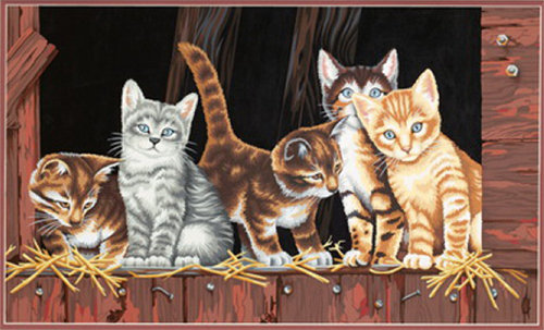 Кошачий квинтет - животные, коты - оригинал