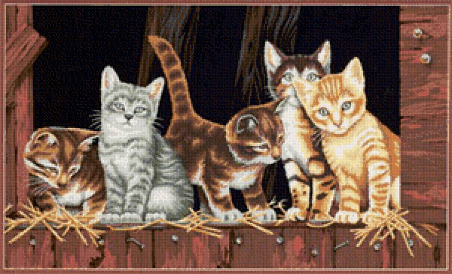 Кошачий квинтет - коты, животные - предпросмотр