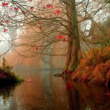 лесная река осенью