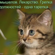 Схема вышивки «милаха»