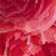 Предпросмотр схемы вышивки «веточка роз» (№588299)