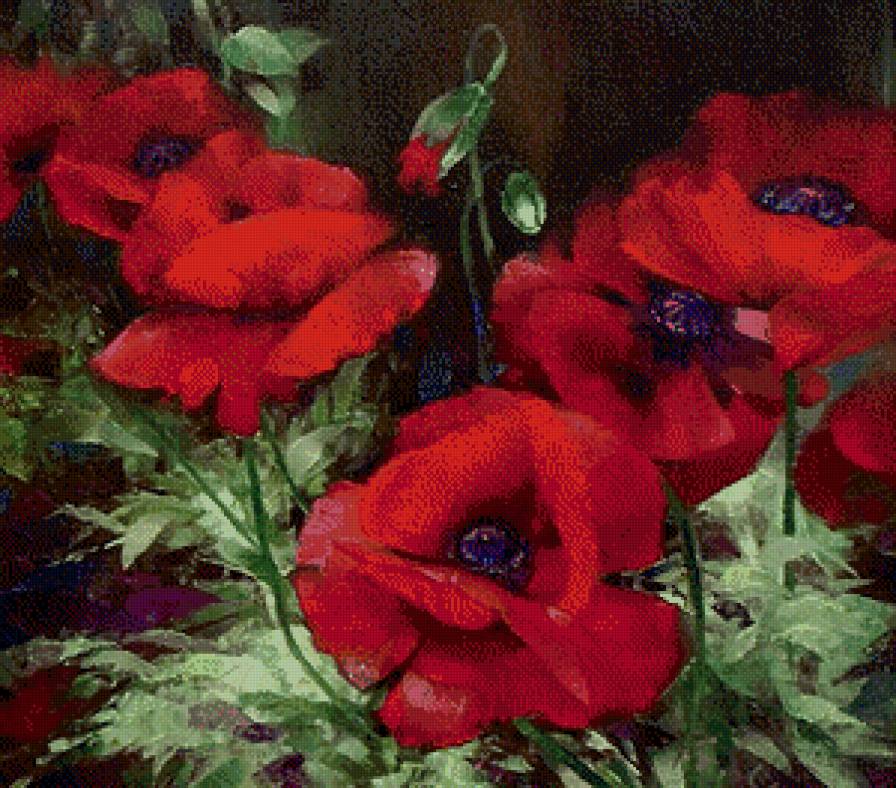 маки - цветы, мак, живопись, акварель - предпросмотр