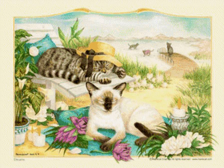 Кот на отдыхе - предпросмотр