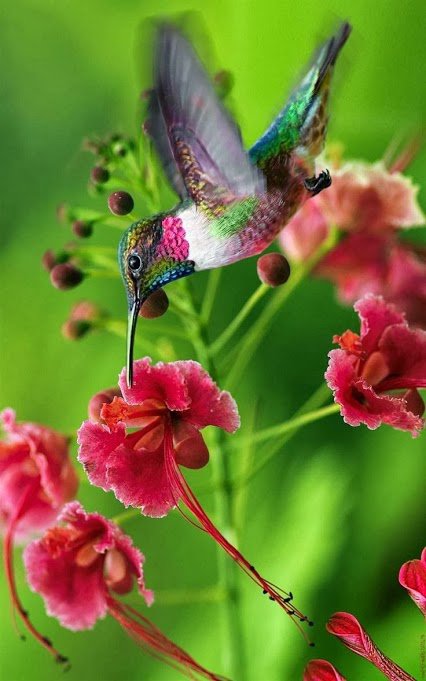 №588561 - оригинал