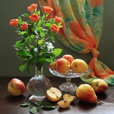 Схема вышивки «№588580»