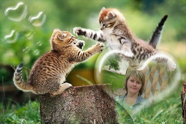 Светочка - оригинал