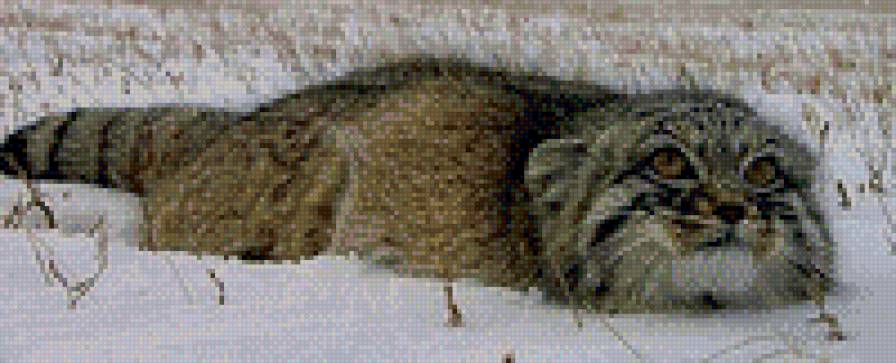 №588700 - предпросмотр