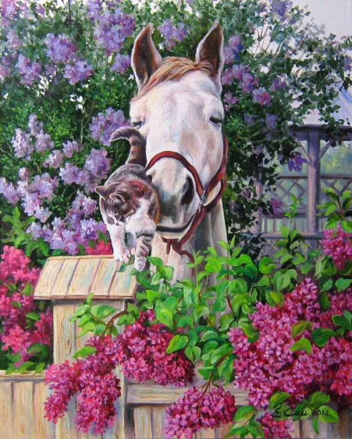 Лошадь - животные, природа - оригинал