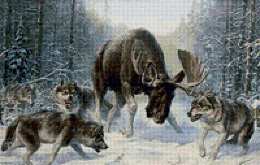 охота - добыча, лось. обед, охота, волки, лес, природа - предпросмотр