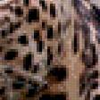 Предпросмотр схемы вышивки «леопард6» (№588757)