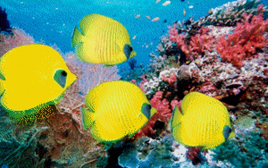 подводный мир - рыбы, море, подводный мир - предпросмотр