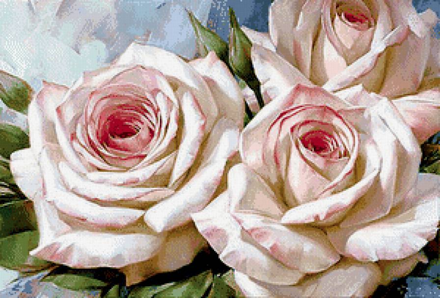 Розы - цветы, розы - предпросмотр