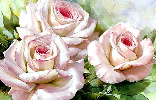 Розы - цветы, розы - оригинал