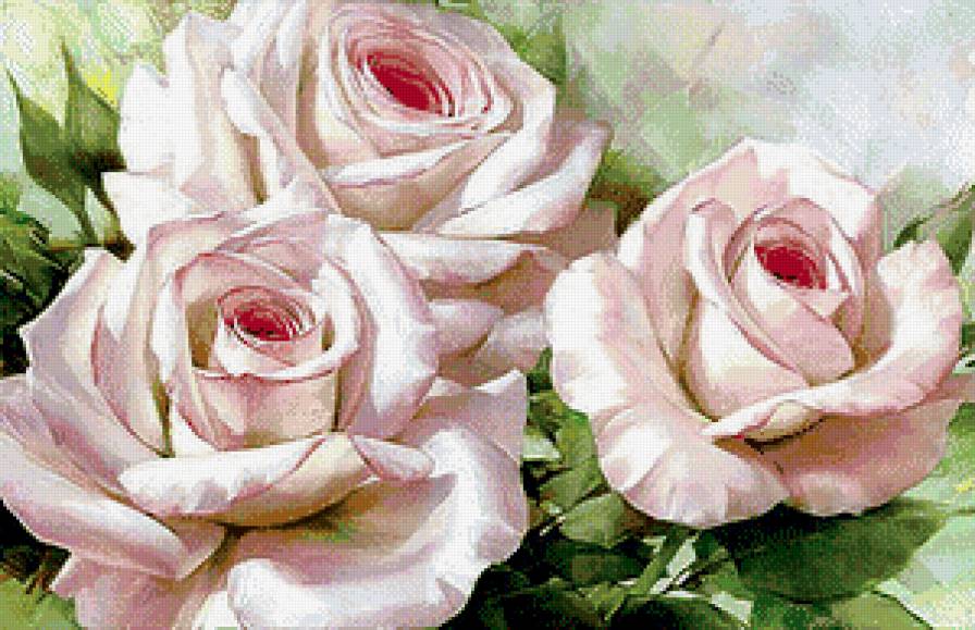 Розы - розы, цветы - предпросмотр