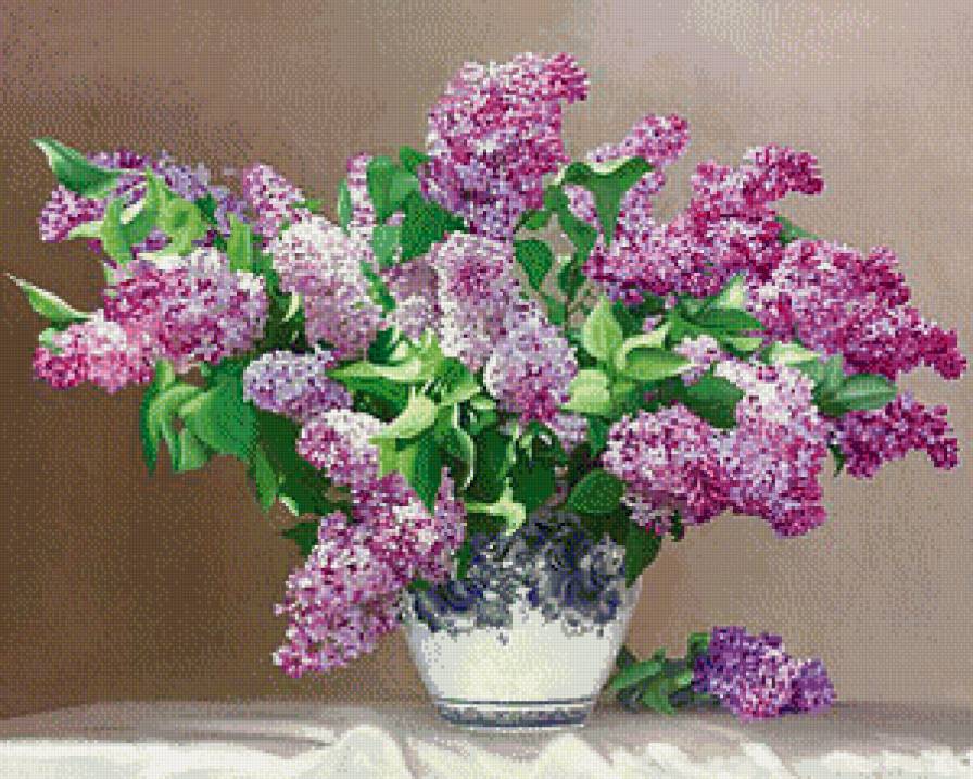 Сирень - сирень, цветы, букет - предпросмотр