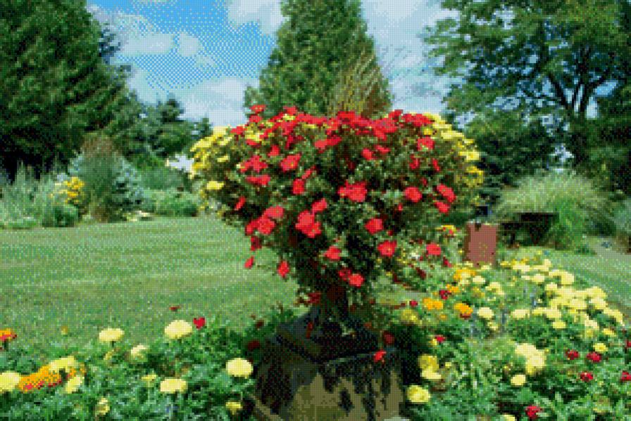 серия "парки" - природа.пейзаж.парк - предпросмотр