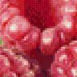 Предпросмотр схемы вышивки «фрукты» (№589545)